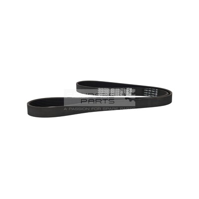 COURROIE CRANTEE DAYCO 6PK1310